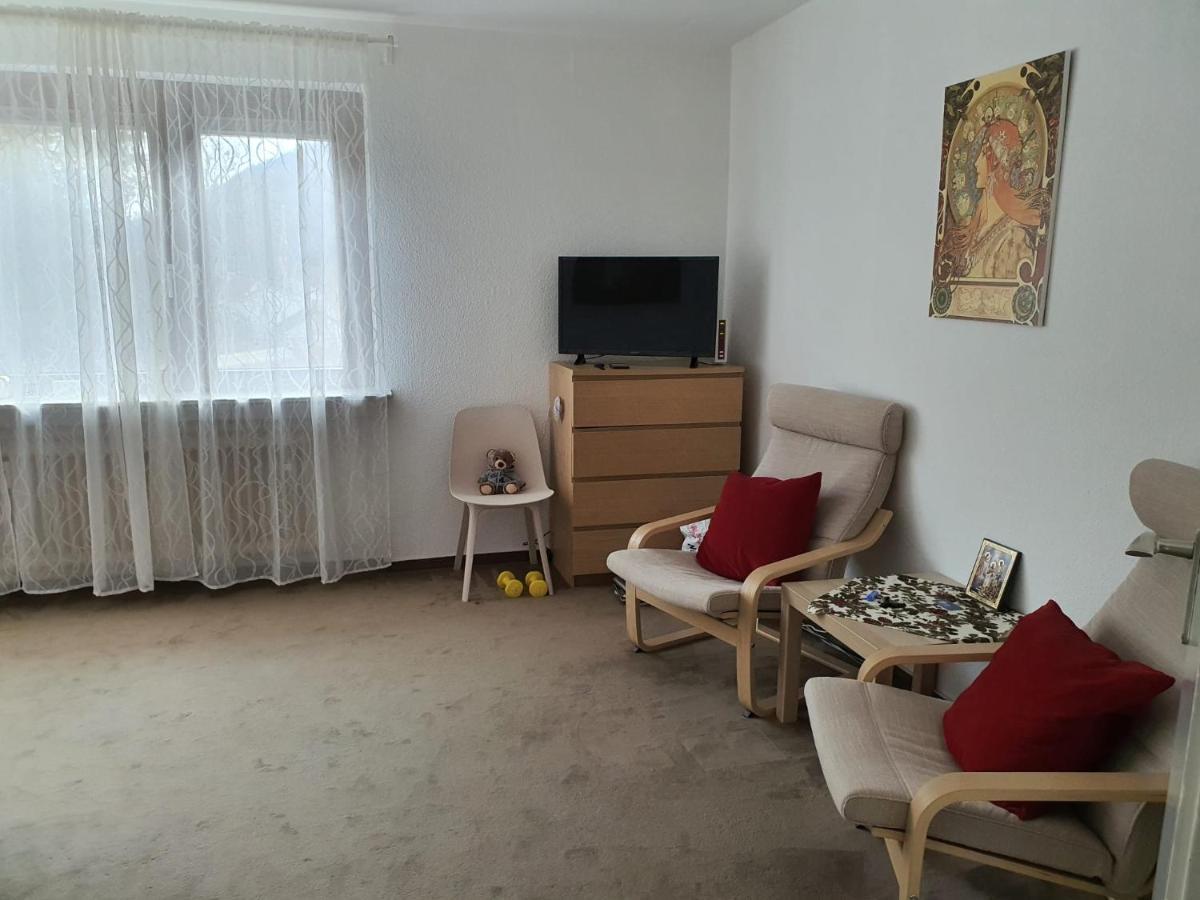Hotel Garni Steinbacher Tal Heidelberg Kültér fotó