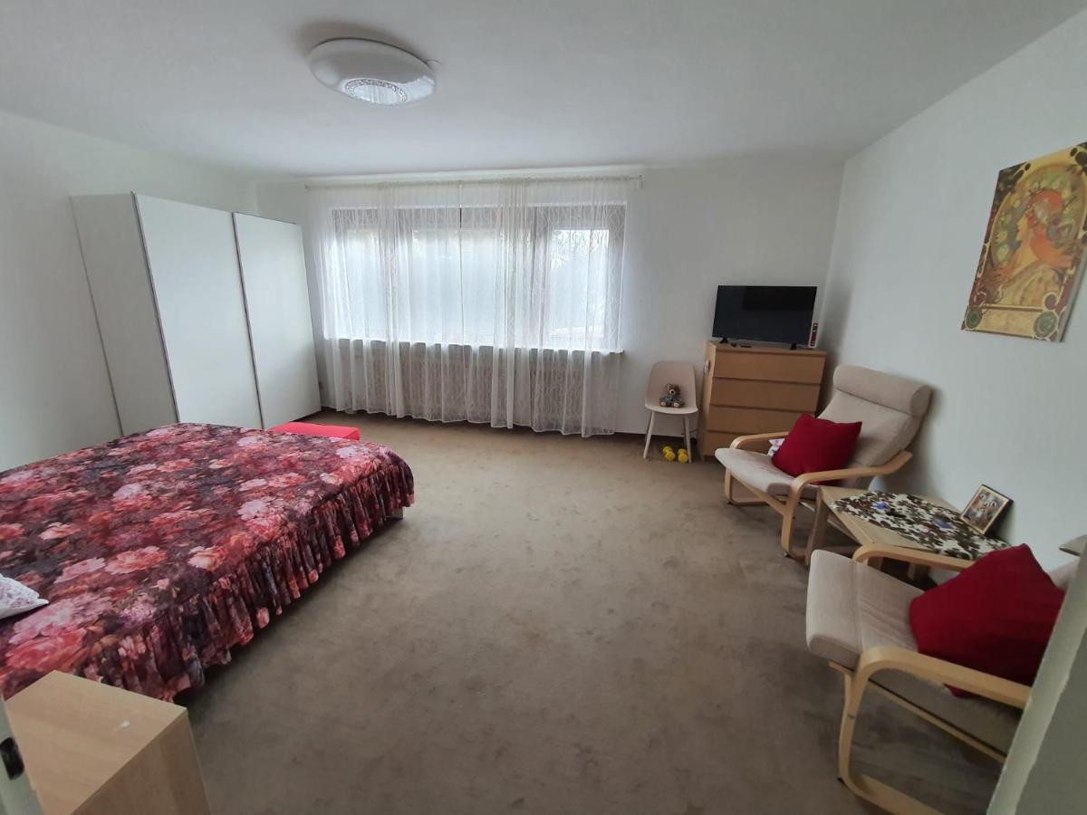 Hotel Garni Steinbacher Tal Heidelberg Kültér fotó